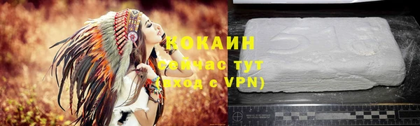 apvp Кукмор