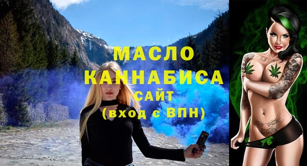 сатива Кулебаки
