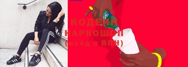 СК Краснослободск