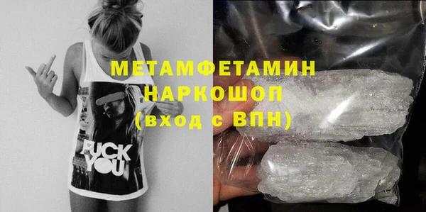 сатива Кулебаки