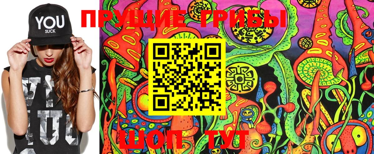 Псилоцибиновые грибы MAGIC MUSHROOMS Малгобек