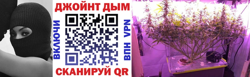 Каннабис AK-47 Малгобек